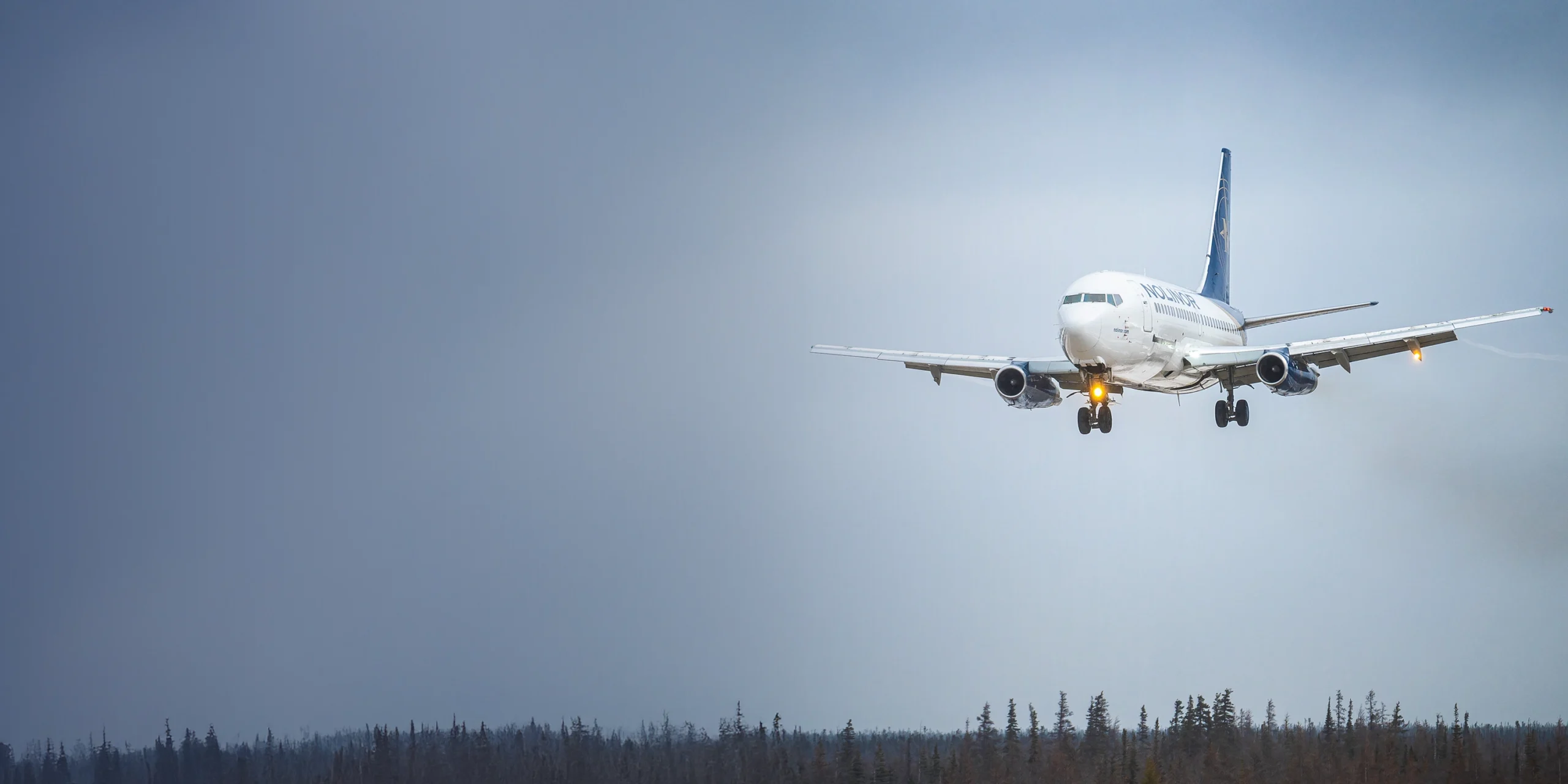 A commercial airplane approaches for landing against a cloudy sky, with trees visible in the foreground.