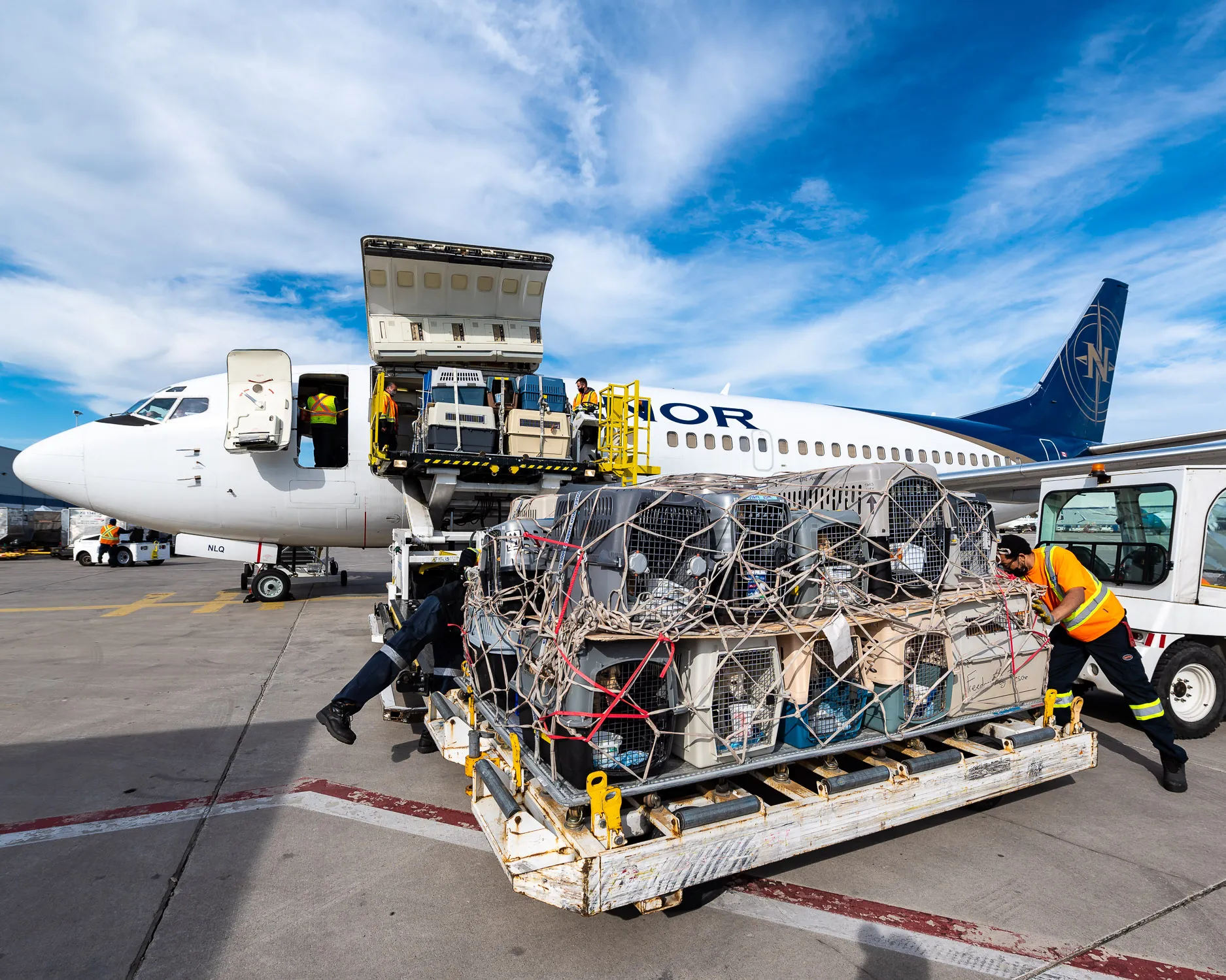 Des agents de manutention chargent des conteneurs sur un avion de ligne, avec un ciel bleu en arrière-plan. Les conteneurs sont sécurisés par des filets.